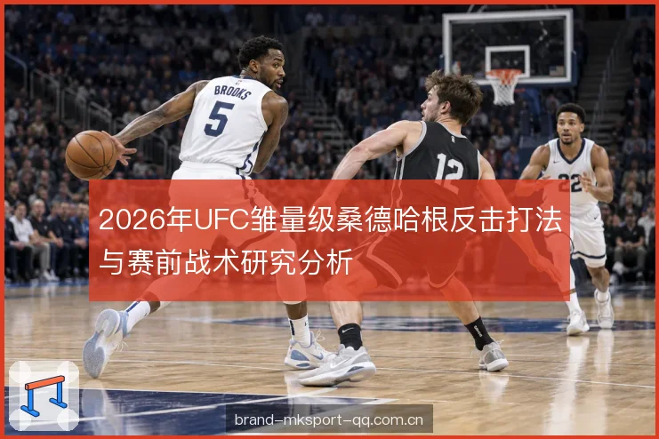 2026年UFC雏量级桑德哈根反击打法与赛前战术研究分析